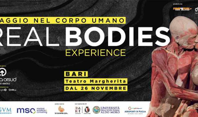 Bari, ''Real Bodies Experience'': al Margherita una mostra sull'anatomia umana